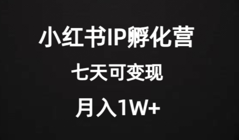 价值2000+的小红书IP孵化营项目，超级大蓝海，七天即可开始变现，稳定月入1W+网赚项目-副业赚钱-互联网创业-资源整合华本网创