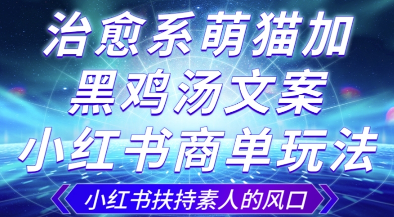 治愈系萌猫加+黑鸡汤文案，小红书商单玩法，3~10天涨到1000粉，一单200左右网赚项目-副业赚钱-互联网创业-资源整合华本网创