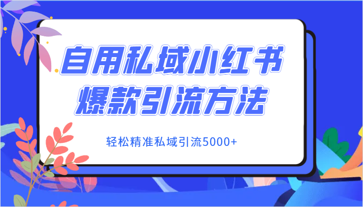 自用私域小红书爆款引流方法，轻松精准私域引流5000+网赚项目-副业赚钱-互联网创业-资源整合华本网创