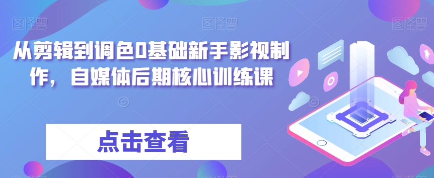 从剪辑到调色0基础新手影视制作，自媒体后期核心训练课网赚项目-副业赚钱-互联网创业-资源整合华本网创