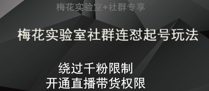 梅花实验室社群连怼起号玩法，视频号绕过千粉限制，开通直播带货权限【揭秘】网赚项目-副业赚钱-互联网创业-资源整合华本网创