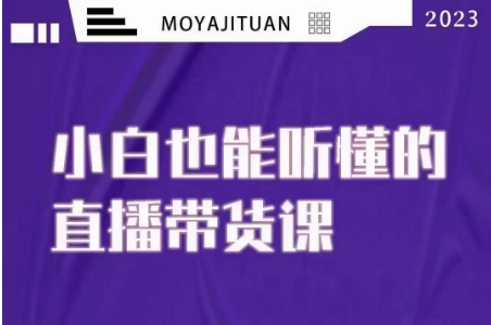 大威本威·能听懂的直播带货课，小白也能听懂，20节完整网赚项目-副业赚钱-互联网创业-资源整合华本网创