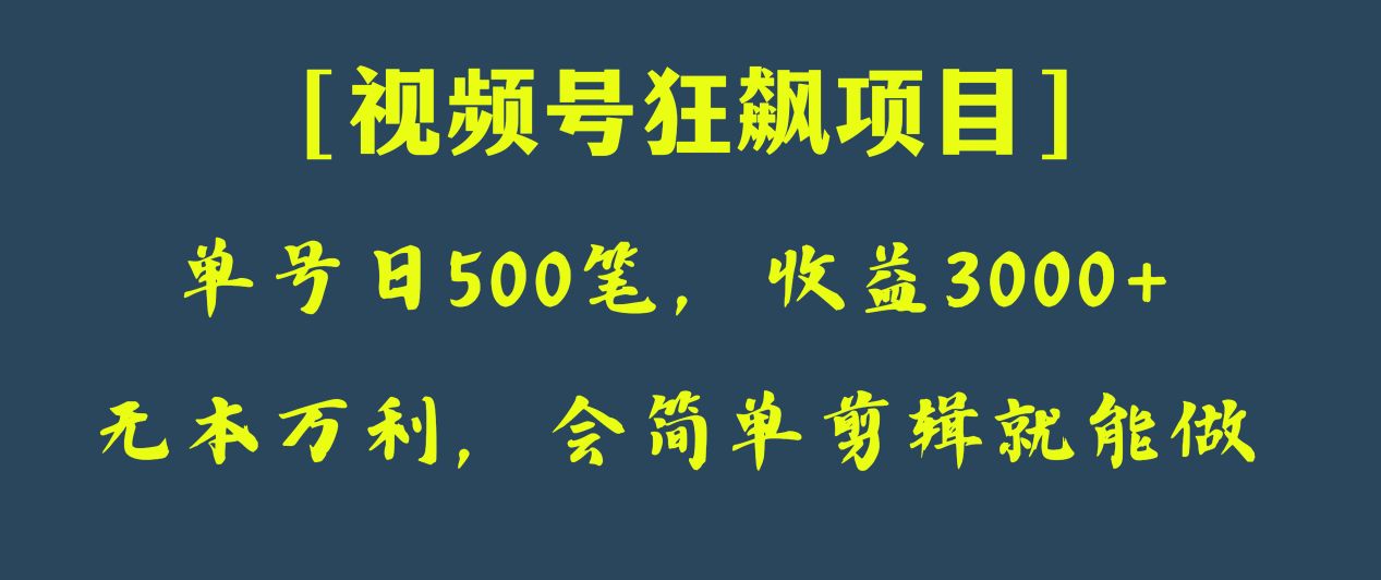 日收款500笔，纯利润3000+，视频号狂飙项目！网赚项目-副业赚钱-互联网创业-资源整合华本网创