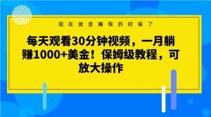 每天观看30分钟视频，一月躺赚1000+美金！保姆级教程，可放大操作【揭秘】网赚项目-副业赚钱-互联网创业-资源整合华本网创