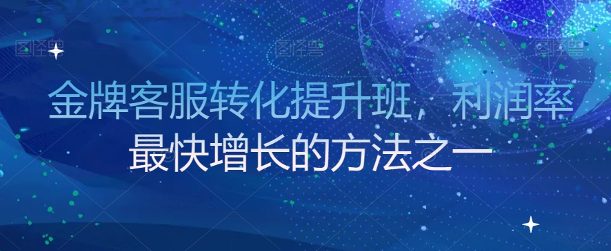 金牌客服转化提升班，利润率最快增长的方法之一网赚项目-副业赚钱-互联网创业-资源整合华本网创