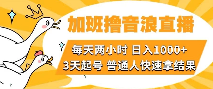 加班撸音浪直播，每天两小时，日入1000+，直播话术才3句，3天起号，普通人快速拿结果【揭秘】网赚项目-副业赚钱-互联网创业-资源整合华本网创