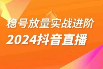 稳号放量实战进阶—2024抖音直播，直播间精细化运营的几大步骤网赚项目-副业赚钱-互联网创业-资源整合华本网创