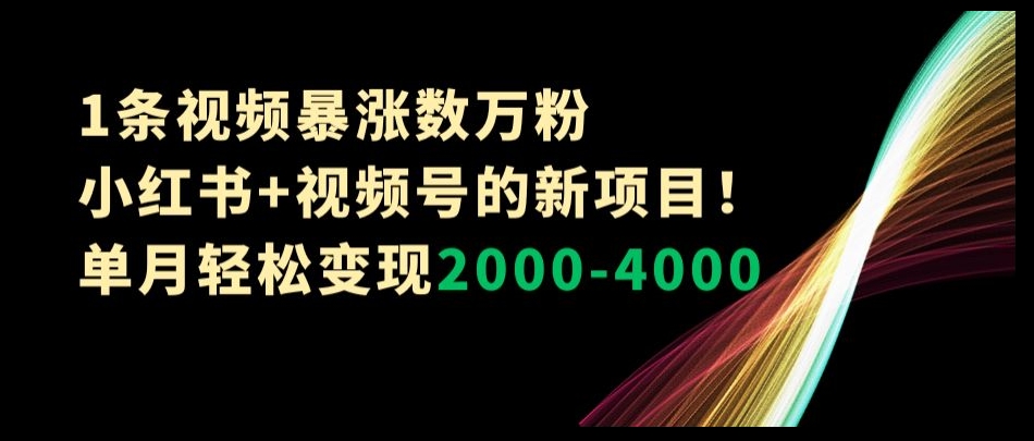 1条视频暴涨数万粉–小红书+视频号的新项目！单月轻松变现2000-4000【揭秘】网赚项目-副业赚钱-互联网创业-资源整合华本网创