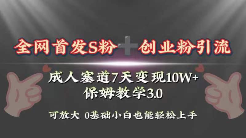 （8337期）全网首发s粉加创业粉引流变现，成人用品赛道7天变现10w+保姆教学3.0网赚项目-副业赚钱-互联网创业-资源整合华本网创