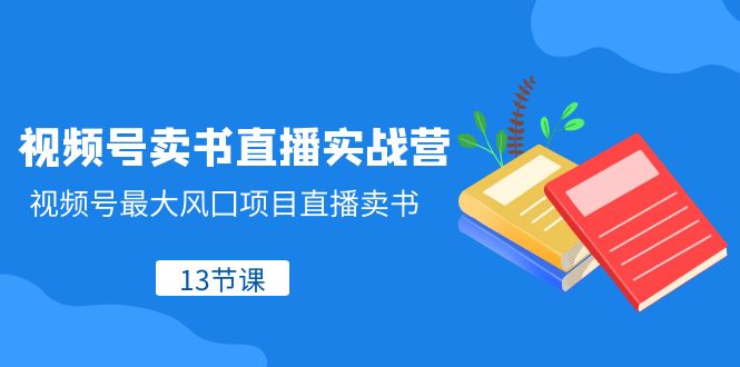 视频号卖书直播实战营，视频号最大风囗项目直播卖书（13节课）网赚项目-副业赚钱-互联网创业-资源整合华本网创