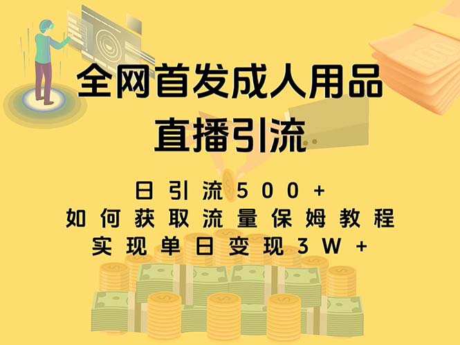 （8193期）最新全网独创首发，成人用品直播引流获客暴力玩法，单日变现3w保姆级教程网赚项目-副业赚钱-互联网创业-资源整合华本网创