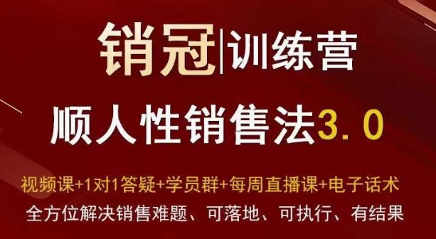 爆款！销冠训练营3.0之顺人性销售法，全方位解决销售难题、可落地、可执行、有结果网赚项目-副业赚钱-互联网创业-资源整合华本网创