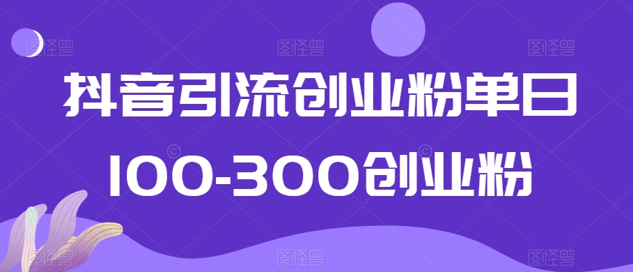 抖音引流创业粉单日100-300创业粉网赚项目-副业赚钱-互联网创业-资源整合华本网创