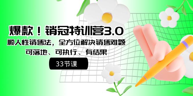 （8573期）爆款！销冠特训营3.0之顺人性销售法，全方位解决销售难题、可落地、可执…网赚项目-副业赚钱-互联网创业-资源整合华本网创