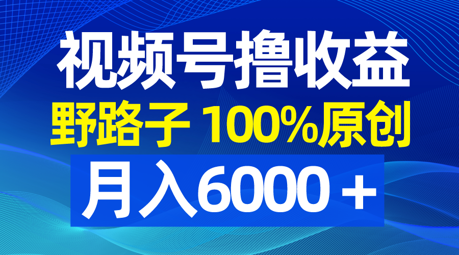 （8679期）视频号野路子撸收益，100%原创，条条爆款，月入6000＋网赚项目-副业赚钱-互联网创业-资源整合华本网创