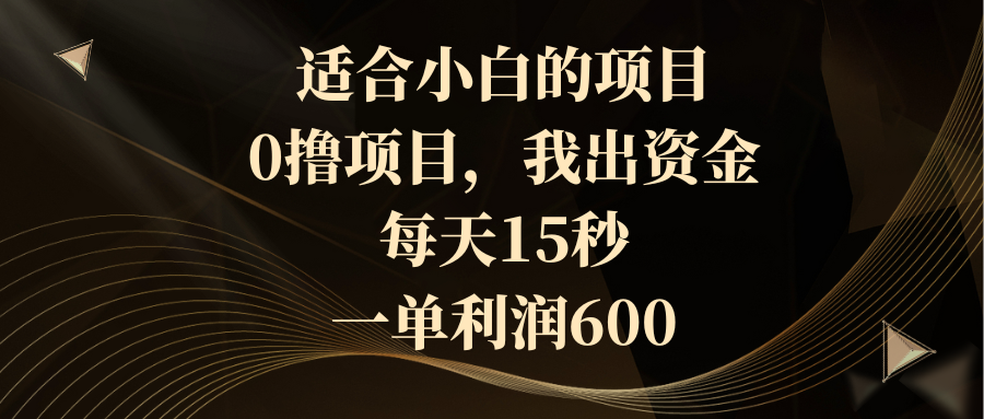 （8571期）适合小白的项目，0撸项目，我出资金，每天15秒，一单利润600网赚项目-副业赚钱-互联网创业-资源整合华本网创