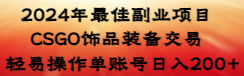 （8941期）2024年最佳副业项目 CSGO饰品装备交易 轻易操作单账号日入200+网赚项目-副业赚钱-互联网创业-资源整合华本网创