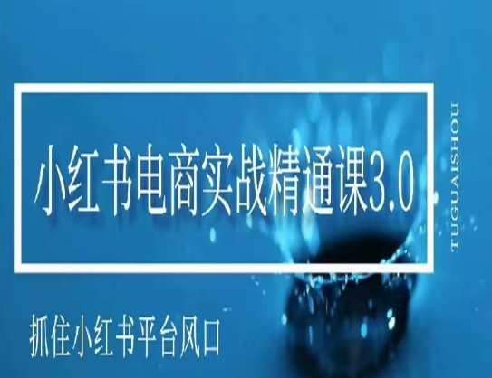 小红书电商实战精通课3.0，抓住小红书平台的风口，不错过有一个赚钱的机会网赚项目-副业赚钱-互联网创业-资源整合华本网创