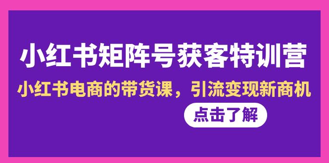 （8909期）小红书-矩阵号获客特训营-第10期，小红书电商的带货课，引流变现新商机网赚项目-副业赚钱-互联网创业-资源整合华本网创