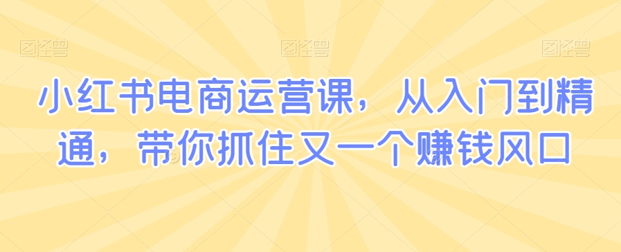 小红书电商运营课，从入门到精通，带你抓住又一个赚钱风口网赚项目-副业赚钱-互联网创业-资源整合华本网创