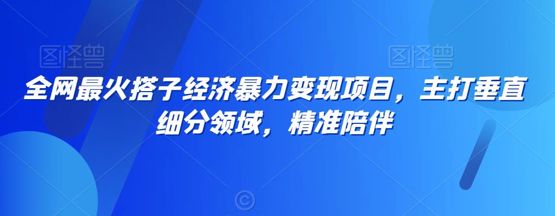 全网最火搭子经济暴力变现项目，主打垂直细分领域，精准陪伴网赚项目-副业赚钱-互联网创业-资源整合华本网创