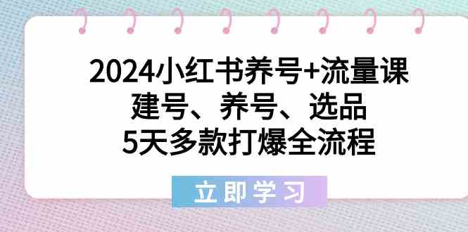 2024小红书养号+流量课：建号、养号、选品，5天多款打爆全流程网赚项目-副业赚钱-互联网创业-资源整合华本网创