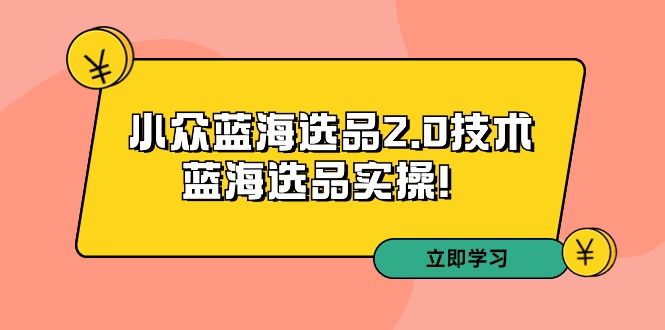 拼多多培训第33期：小众蓝海选品2.0技术-蓝海选品实操网赚项目-副业赚钱-互联网创业-资源整合华本网创