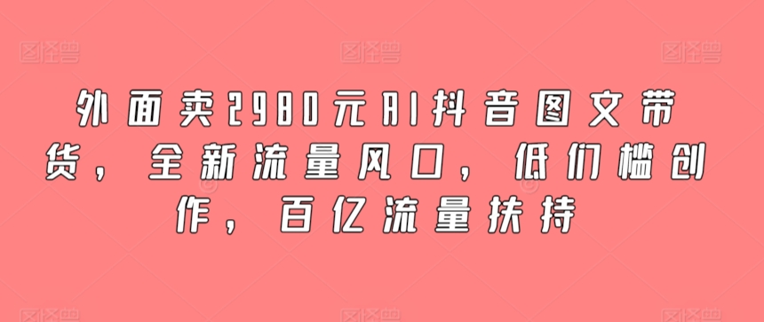 外面卖2980元AI抖音图文带货，全新流量风口，低们槛创作，百亿流量扶持网赚项目-副业赚钱-互联网创业-资源整合华本网创