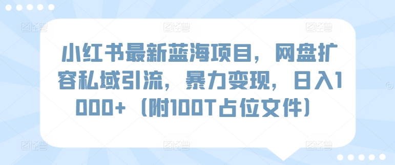 小红书最新蓝海项目，网盘扩容私域引流，暴力变现，日入1000+（附100T占位文件）网赚项目-副业赚钱-互联网创业-资源整合华本网创