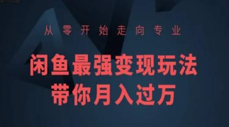 从零开始走向专业，闲鱼最强变现玩法带你月入过万网赚项目-副业赚钱-互联网创业-资源整合华本网创