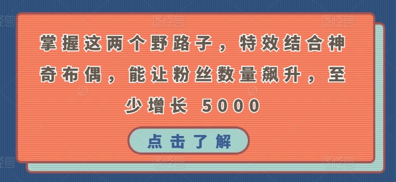 掌握这两个野路子，特效结合神奇布偶，能让粉丝数量飙升，至少增长 5000网赚项目-副业赚钱-互联网创业-资源整合华本网创