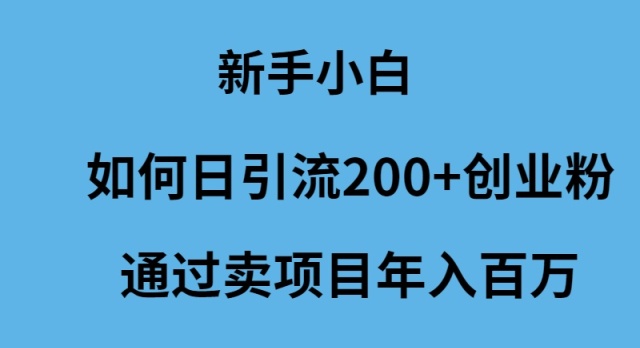 （9668期）新手小白如何日引流200+创业粉通过卖项目年入百万网赚项目-副业赚钱-互联网创业-资源整合华本网创