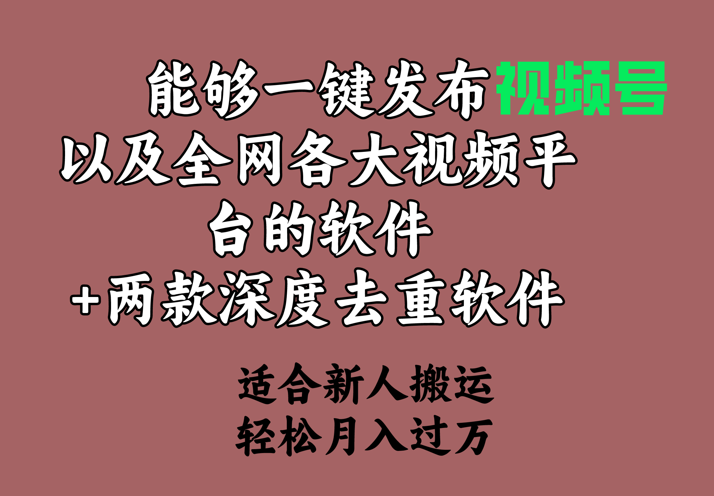 （9319期）能够一键发布视频号以及全网各大视频平台的软件+两款深度去重软件 适合…网赚项目-副业赚钱-互联网创业-资源整合华本网创