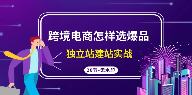 跨境电商怎样选爆品，独立站建站实战（20节高清课）网赚项目-副业赚钱-互联网创业-资源整合华本网创