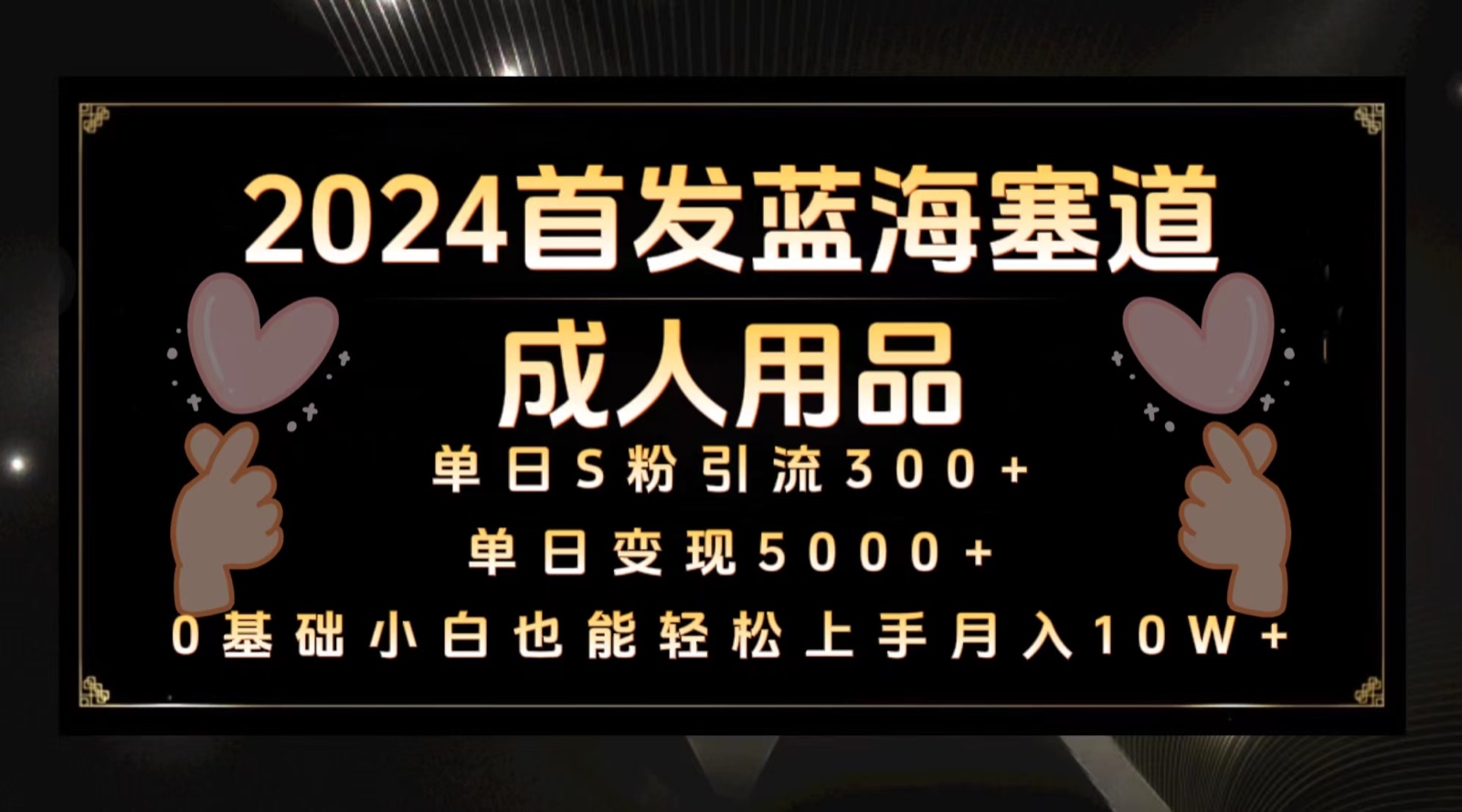 2024首发蓝海塞道成人用品，月入10W+保姆教程网赚项目-副业赚钱-互联网创业-资源整合华本网创