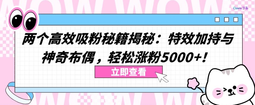 两个高效吸粉秘籍揭秘：特效加持与神奇布偶，轻松涨粉5000+网赚项目-副业赚钱-互联网创业-资源整合华本网创