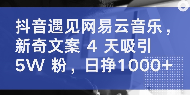 抖音遇见网易云音乐，新奇文案 4 天吸引 5W 粉，日挣1000+网赚项目-副业赚钱-互联网创业-资源整合华本网创