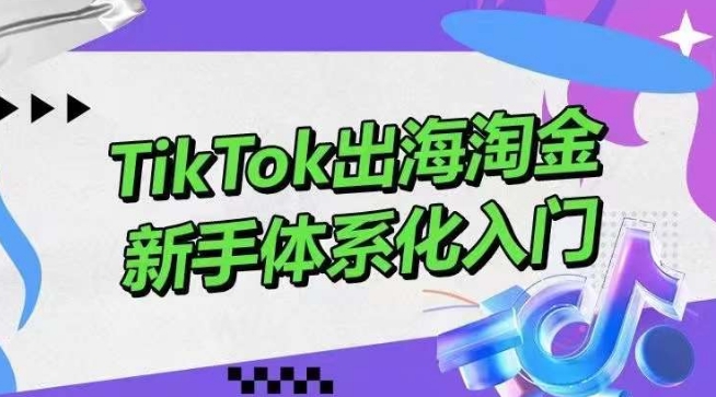 TikTok出海淘金，新手体系化入门，零基础快速入门，掌握短视频、直播带货等引流到变现的知识网赚项目-副业赚钱-互联网创业-资源整合华本网创