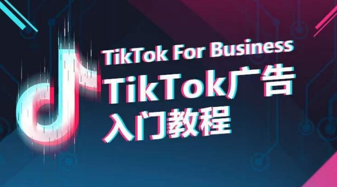 TikTok广告入门教程，从0到1掌握TikTok投放的全流程网赚项目-副业赚钱-互联网创业-资源整合华本网创