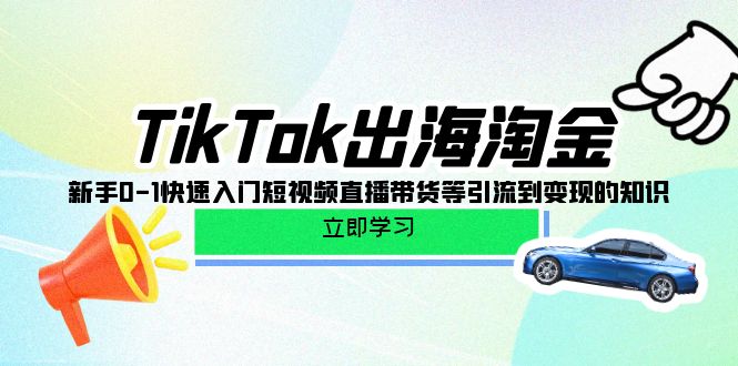 （10035期）TikTok-出海淘金，新手0-1快速入门短视频直播带货等引流到变现的知识网赚项目-副业赚钱-互联网创业-资源整合华本网创