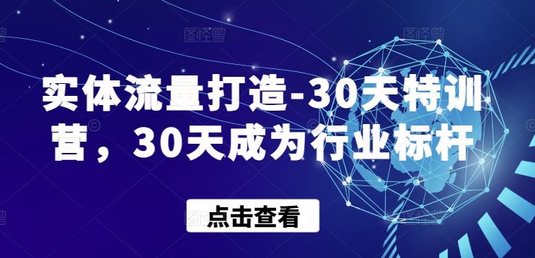 实体流量打造-30天特训营，30天成为行业标杆网赚项目-副业赚钱-互联网创业-资源整合华本网创