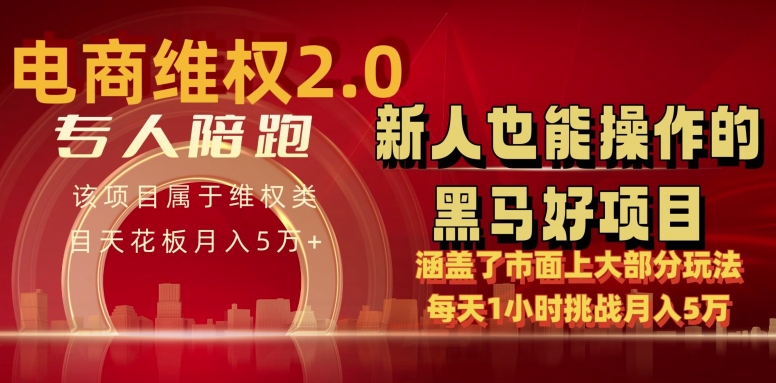 电商维权 4.0 如何做到月入 5 万+每天 1 小时新人也能快速上手【仅揭秘】网赚项目-副业赚钱-互联网创业-资源整合华本网创