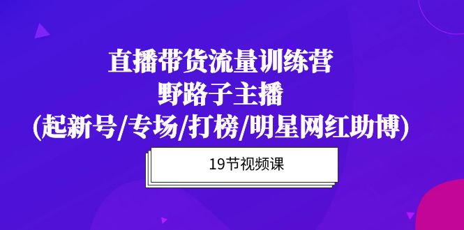 （10016期）直播带货流量特训营，野路子主播(起新号/专场/打榜/明星网红助博)19节课网赚项目-副业赚钱-互联网创业-资源整合华本网创