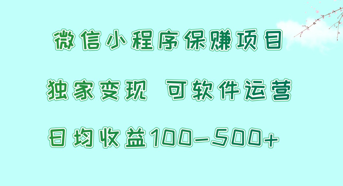 微信小程序保赚项目，日均收益100~500+，独家变现，可软件运营网赚项目-副业赚钱-互联网创业-资源整合华本网创