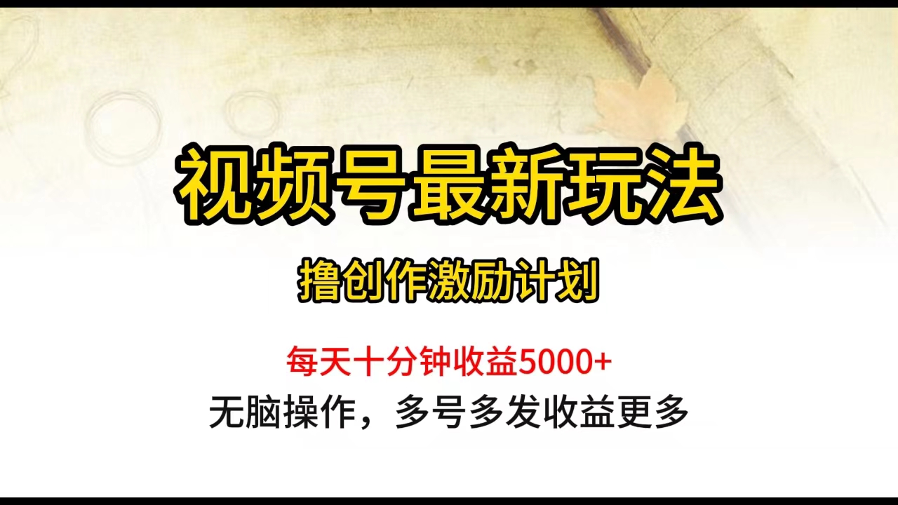 （10087期）视频号最新玩法，每日一小时月入5000+网赚项目-副业赚钱-互联网创业-资源整合华本网创