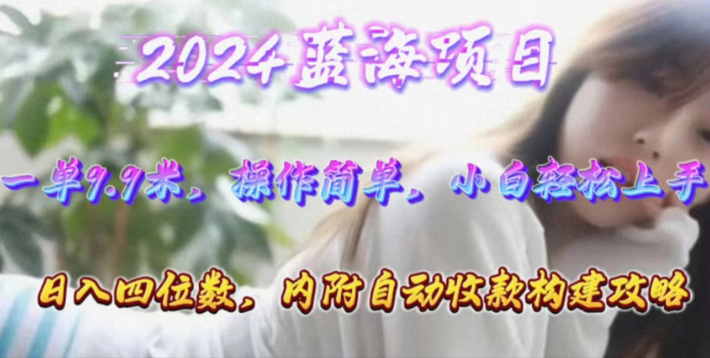 （10204期）年轻群体的蓝海市场，1单9.9元，操作简单，小白轻松上手，日入四位数网赚项目-副业赚钱-互联网创业-资源整合华本网创