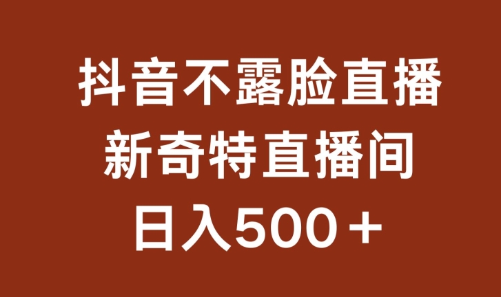 不露脸挂机直播，新奇特直播间，日入500+网赚项目-副业赚钱-互联网创业-资源整合华本网创