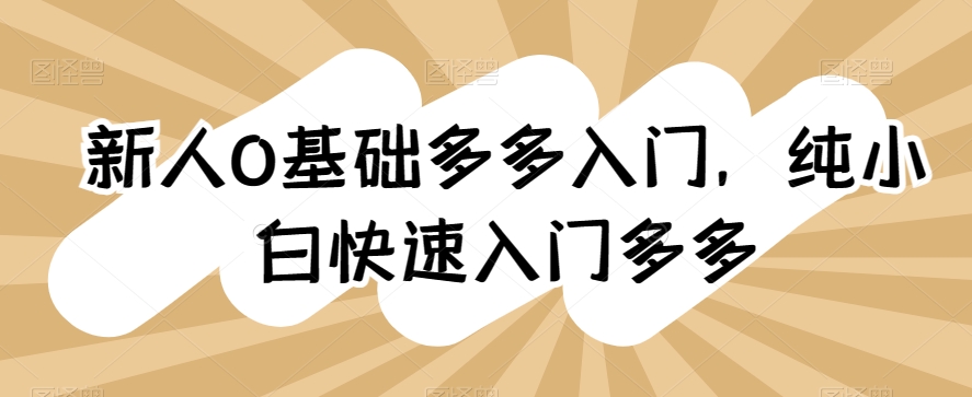 新人0基础多多入门，​纯小白快速入门多多网赚项目-副业赚钱-互联网创业-资源整合华本网创