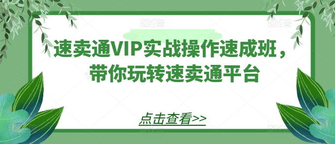 速卖通VIP实战操作速成班，带你玩转速卖通平台网赚项目-副业赚钱-互联网创业-资源整合华本网创