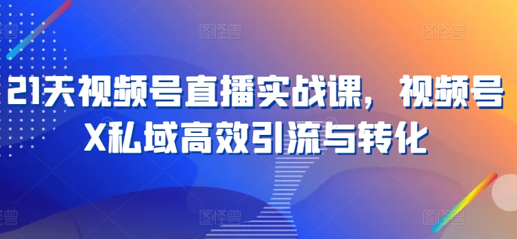 21天视频号直播实战课，视频号X私域高效引流与转化网赚项目-副业赚钱-互联网创业-资源整合华本网创